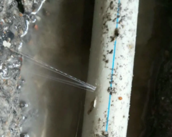 新晃卫生间测漏水多少钱