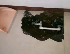 新晃卫生间测漏水多少钱